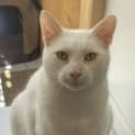 Photo of Bidgy