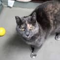 Photo of Misty