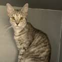 Photo of Athena