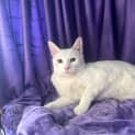 Photo of Eliza