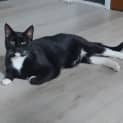 Photo of Chuck