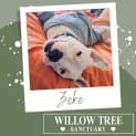 Photo of Zeke