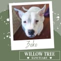 Photo of Zeke