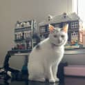 Photo of Snowy