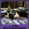 Photo of Colby 