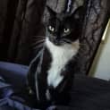 Photo of Colby 