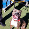 Photo of Moe