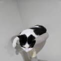 Photo of Zoro