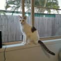 Photo of Chilco