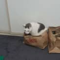 Photo of Chilco