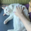 Photo of Nimbus ☁️🌤️