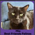 Photo of Mia 