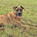 Photo of Bentley