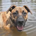 Photo of Bentley