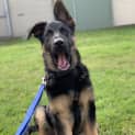 Photo of Zeus