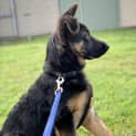 Photo of Zeus