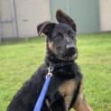 Photo of Zeus