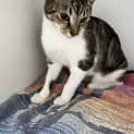 Photo of Maggie
