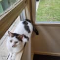 Photo of Snowy