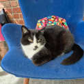 Photo of Lucy