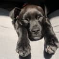 Photo of Jack