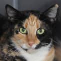 Photo of Mya