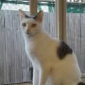 Photo of Chilco