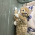 Photo of Cuddles