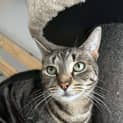 Photo of Junior