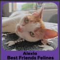 Photo of Alexia