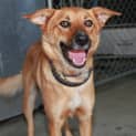 Photo of Bonnie