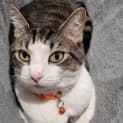 Photo of Kimmy