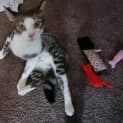 Photo of Kimmy