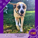 Photo of Rita