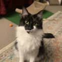 Photo of Remy π