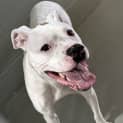 Photo of Scottie