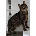 Photo of 4053 Kiara