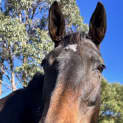 Photo of Betty