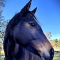 Photo of Betty