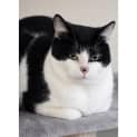 Photo of 9714 Ned