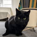 Photo of Charlotte