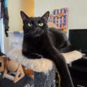 Photo of Miracle 