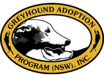 Greyhound Adoption Program NSW