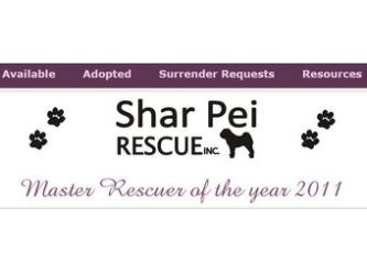 shar pei adoption