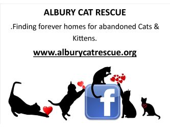Albury Cat Rescue