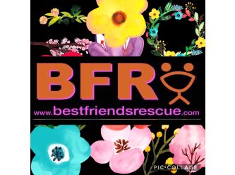 Best Friends Rescue QLD