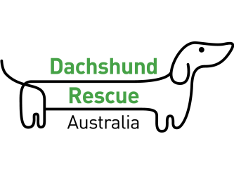 Dachshund Rescue Australia