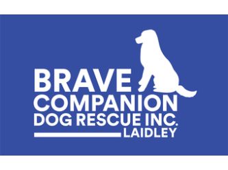 Brave Companion Dog Rescue Inc Petrescue