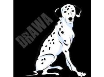Dalmatian Rescue Association of Western Australia