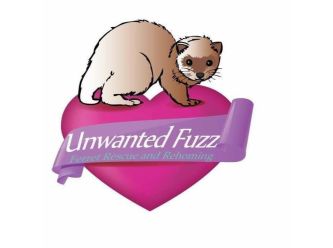 Unwanted Fuzz